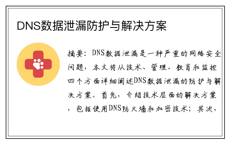 DNS数据泄漏防护与解决方案